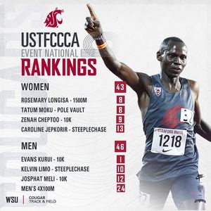 Image post by @wsucougarxctf on Instagram