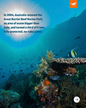 Image post by @sealegacy on Instagram