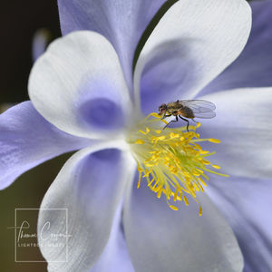 Image post by @lightboximages on Instagram