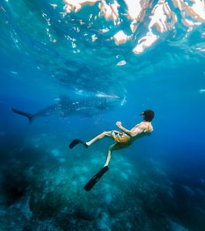 Image post by @jordankahana on Instagram