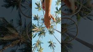 Video post by @dji on YouTube