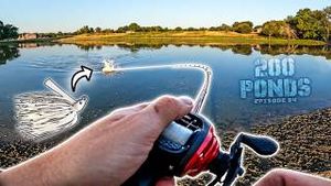 Video post by @tylersreelfishing on YouTube