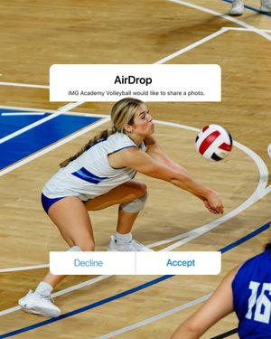 Image post by @imgavolleyball on Instagram