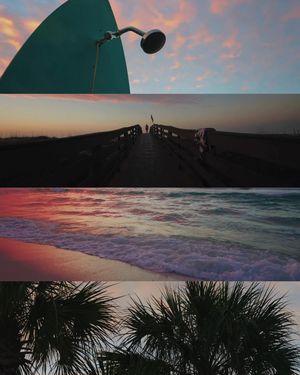 Image post by @jmuwbasketball on Instagram