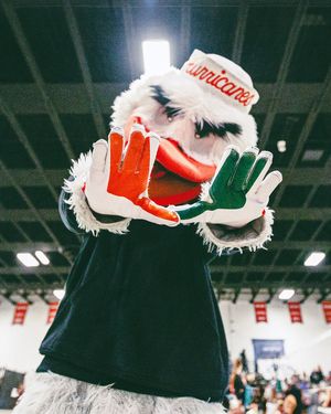 Image post by @um_sebastian on Instagram