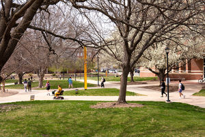 Image post by @WichitaState on Twitter