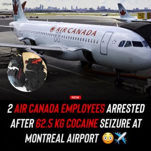 Image post by @shottawa.tv on Instagram