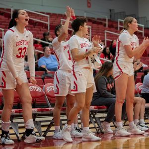 Image post by @terrierwbb on Instagram