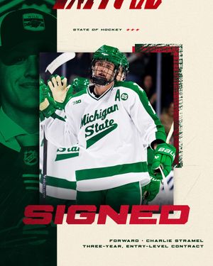 Image post by @mnwild on Twitter