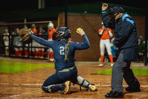 Image post by @BerrySoftball on Twitter