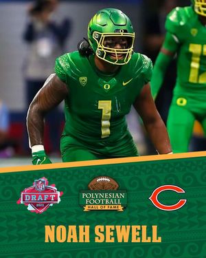 Image post by @polynesianfbhof on Instagram
