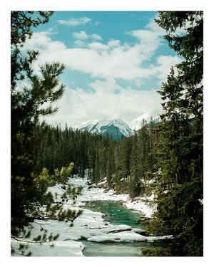 Image post by @billyquachfilms on Instagram