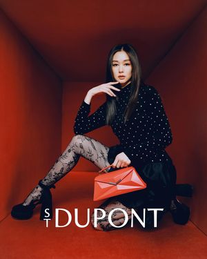 Image post by @stdupont on Instagram