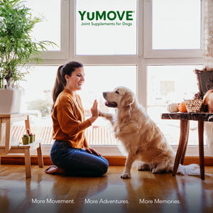Image post by @yumove_usa on Instagram