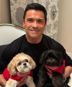 Image post by @kellyripa on Instagram