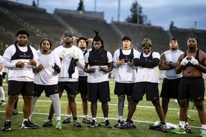 Image post by @BearAlexander_ on Twitter