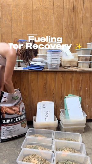 Video post by @clairecumbee on Instagram