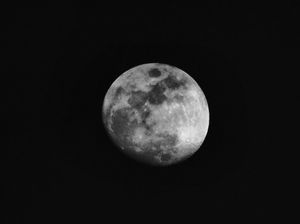 Image post by @williamslenses on Instagram