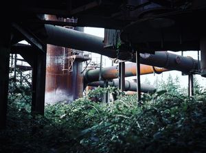 Image post by @willtrogdon on Instagram