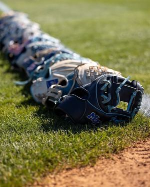 Image post by @mt_softball on Instagram