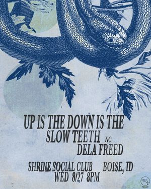 Image post by @duckclubboise on Instagram