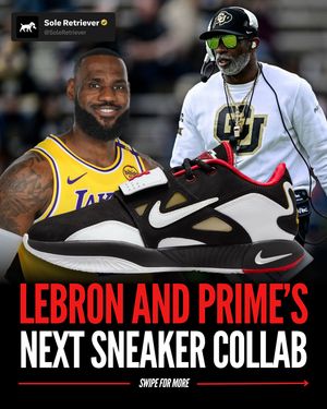 Image post by @soleretriever on Instagram