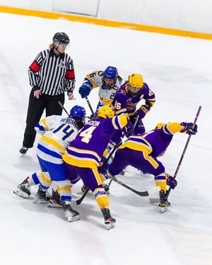 Image post by @laurierwhockey on Instagram