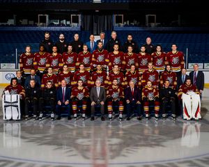 Image post by @Chicago_Wolves on Twitter