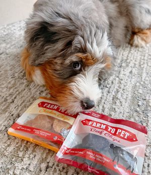 Image post by @farmtopet on Instagram