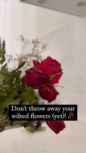 Video post by @learningresources on Instagram