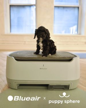Image post by @thepuppysphere on Instagram