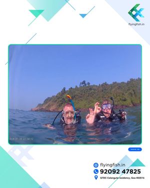 Image post by @flyingfishscuba on Instagram