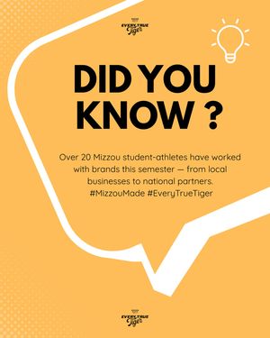 Image post by @everytruetiger on Instagram