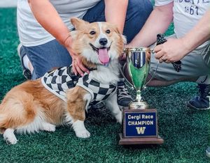 Image post by @littlestumpsracing1 on Facebook