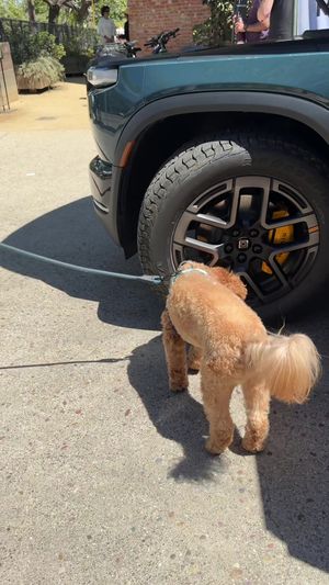 Video post by @tedflixnchill on TikTok