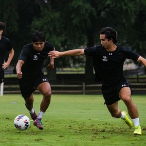 Image post by @davidsonwildcat on Instagram