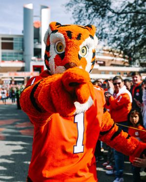 Image post by @clemsontigers on Instagram
