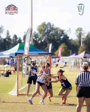 Image post by @lilaxjournal on Instagram