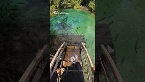 Video post by @dji on YouTube