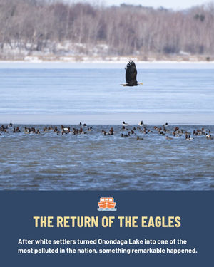 Image post by @newshouse on Instagram