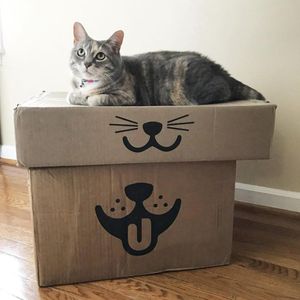Image post by @petco on Instagram