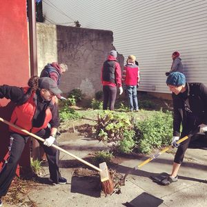 Image post by @templealumni on Instagram