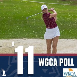 Image post by @leeuwgolf on Instagram