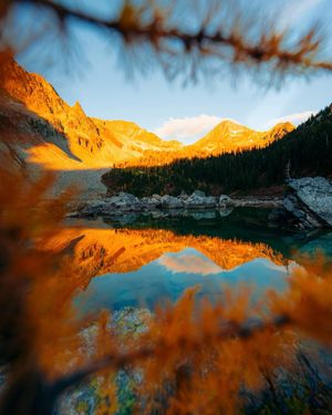 Image post by @moment on Instagram