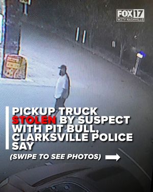 Image post by @foxnashville on Instagram