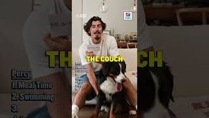 Video post by @Whistle on YouTube