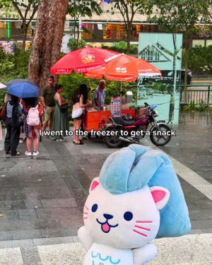 Image post by @visit_singapore on TikTok