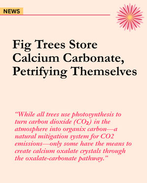 Image post by @ahs_gardening on Instagram
