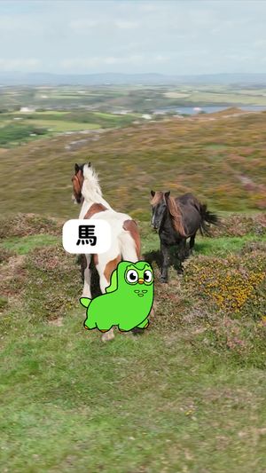 Video post by @duolingo on TikTok