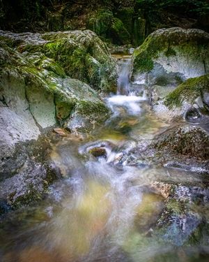 Image post by @cristan.nature.photography on Instagram